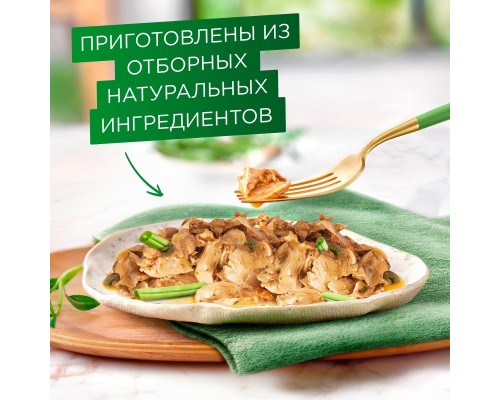 Gourmet влажный корм Натуральные рецепты для кошек, лосось-гриль с зеленой фасолью