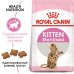 Корм Royal Canin для стерилизованных котят с момента операции до 12 месяцев 3,5 кг