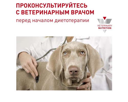 Royal Canin (вет.корма) для кастрированных собак малых пород 3,5 кг