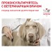 Royal Canin (вет.корма) для кастрированных собак малых пород 800 г