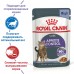 Royal Canin кусочки в желе для взрослых кошек, рекомендуется для контроля выпрашивания корма