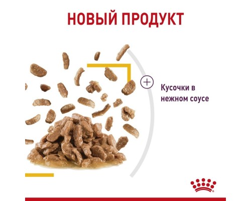 Royal Canin  Sensory консервированный полнорационный корм для взрослых кошек (от 1 года до 7 лет), стимулирующий вкусовые рецепторы, кусочки в соусе