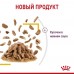 Royal Canin  Sensory консервированный полнорационный корм для взрослых кошек (от 1 года до 7 лет), стимулирующий вкусовые рецепторы, кусочки в соусе