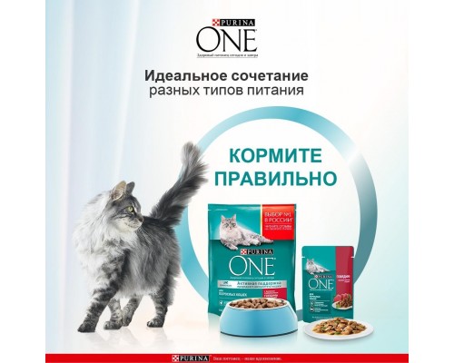 Purina One паучи с говядиной и морковью для взрослых кошек