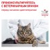 Royal Canin (вет. паучи) кусочки в соусе для кошек при диабете