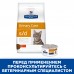 Hill's Prescription Diet s/d Urinary Care сухой диетический, для кошек при профилактике мочекаменной болезни (МКБ), с курицей, Как проявляются заболевания нижних мочевыводящих путей?, Преимущества диетических рационов Hill’s Prescriotion Diet