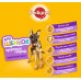 Корм Pedigree сухой корм для щенков крупных пород с курицей 13 кг