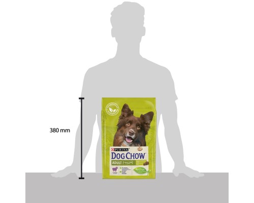 Корм Dog Chow для взрослых собак, с ягненком 800 г