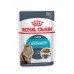 Royal Canin кусочки в соусе для профилактики МКБ