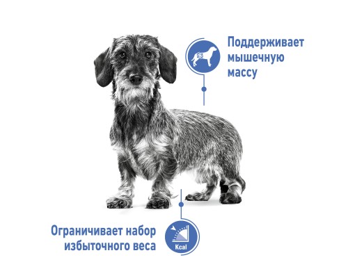 Корм Royal Canin для взрослых и стареющих собак малых пород (до 4 кг), склонных к набору лишнего веса 500 г