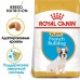 Корм Royal Canin для щенков французского бульдога до 12 месяцев 10 кг