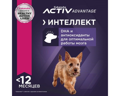 Eukanuba для щенков малых пород, с курицей 3 кг