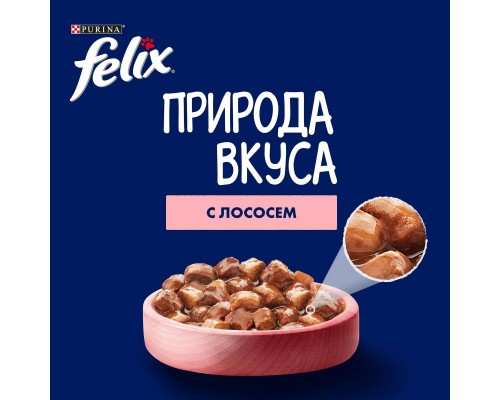 Felix влажный корм Природа вкуса для взрослых кошек, с лососем в соусе