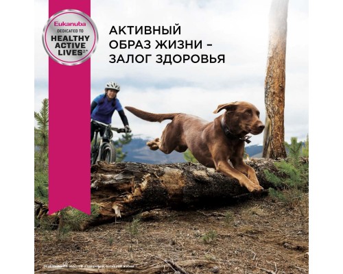 Корм Eukanuba для взрослых собак крупных пород, с птицей 3 кг