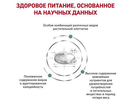 Royal Canin (вет.корма) для кошек - контроль веса