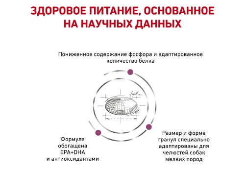 Royal Canin (вет.корма) для взрослых собак весом менее 10 кг при острой или хронической почечной недостаточности 500 г