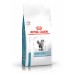 Royal Canin (вет.корма) для кошек при дерматозах и выпадении шерсти