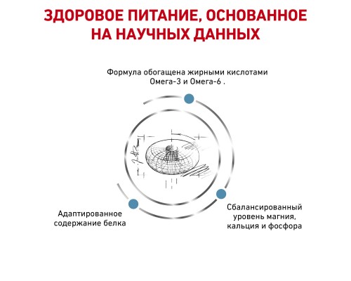 Royal Canin (вет.корма) для кошек при дерматозах и выпадении шерсти