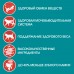 Корм Purina One сухой корм  для стерилизованных кошек и кастрированных котов, с высоким содержанием лосося и пшеницей 200 г