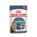 Royal Canin кусочки в соусе для вывода шерсти