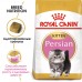 Корм Royal Canin для персидских котят 4-12 мес. 2 кг