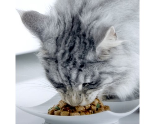 Purina One паучи для кошек с чувствительным пищеварением, с курицей и морковью