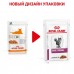 Royal Canin (вет. паучи) для взрослых кошек при ранней стадии почечной недостаточности