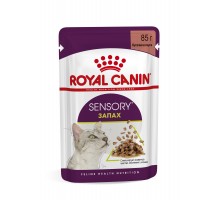 Royal Canin  Sensory консервированный полнорационный корм для взрослых кошек (от 1 года до 7 лет), стимулирующий обонятельные рецепторы, кусочки в соусе