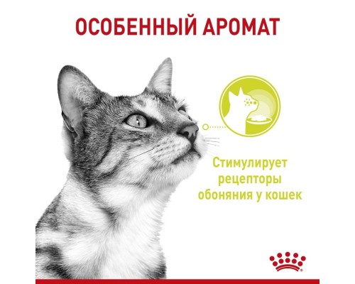 Royal Canin  Sensory консервированный полнорационный корм для взрослых кошек (от 1 года до 7 лет), стимулирующий обонятельные рецепторы, кусочки в соусе