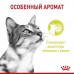 Royal Canin  Sensory консервированный полнорационный корм для взрослых кошек (от 1 года до 7 лет), стимулирующий обонятельные рецепторы, кусочки в соусе