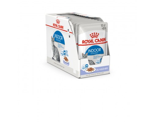 Royal Canin кусочки в желе для домашних кошек 1-7лет