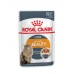 Royal Canin кусочки в желе для кошек 1-7 лет: идеальная кожа и шерсть