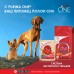 Корм Purina One  для взрослых собак мелких пород с чувствительным пищеварением, с лососем и рисом 600 г