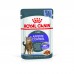 Royal Canin кусочки в желе для взрослых кошек, рекомендуется для контроля выпрашивания корма