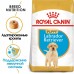 Корм Royal Canin для щенков лабрадора до 15 месяцев 12 кг