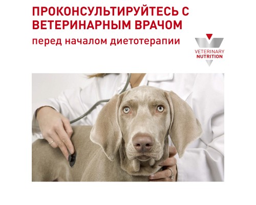 Royal Canin (вет. паучи) корм консервированный полнорационный диетический для стерилизованных или склонных к набору веса взрослых собак, мелкие кусочки в соусе 100 г