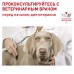 Royal Canin (вет. паучи) корм консервированный полнорационный диетический для стерилизованных или склонных к набору веса взрослых собак, мелкие кусочки в соусе 100 г