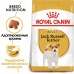 Корм Royal Canin для взрослого джек-рассел-терьера с 10 месяцев 500 г