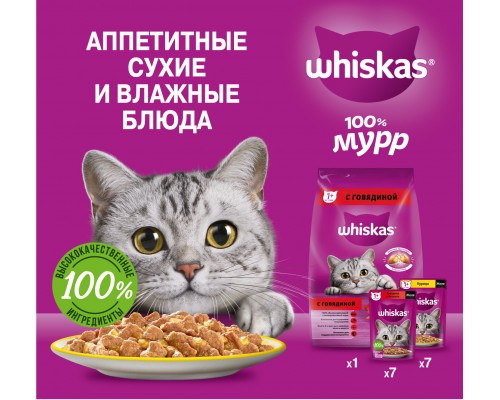 Whiskas набор кормов для кошек (сухой корм 1,9кг и паучи, два вкуса, паучи "желе" 14шт х 75г) 2,95 кг