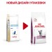 Royal Canin (вет.корма) для кошек "Лечение суставов"