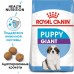 Корм Royal Canin для щенков гигантских пород 2-8 месяцев,  15 кг