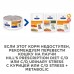 Hill's вет.консервы  Prescription Diet s/d Urinary Care, влажный диетический корм для кошек при профилактике мочекаменной болезни (МКБ), Как проявляются заболевания нижних мочевыводящих путей