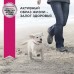 Корм Eukanuba для щенков средних пород, с птицей 3 кг