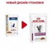 Royal Canin (вет. паучи) кусочки в соусе для кошек при лечении почек, с рыбой