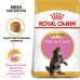 Корм Royal Canin для котят мейн-куна (4-15 мес.) 2 кг