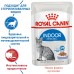 Royal Canin кусочки в желе для домашних кошек 1-7лет