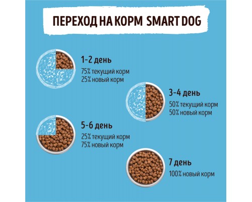 Корм Smart Dog для взрослых собак, с лососем и рисом 800 г