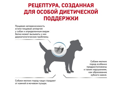 Royal Canin (вет.корма) для собак малых пород с пищевой аллергией 1 кг