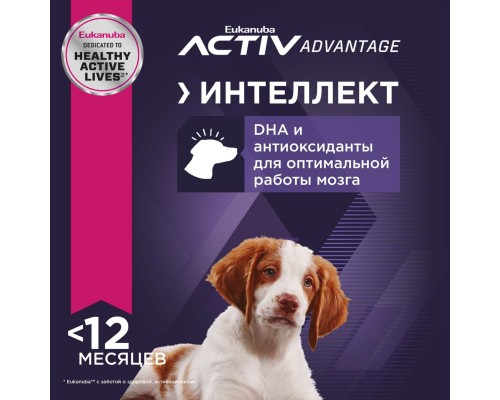 Корм Eukanuba для щенков, с высоким содержанием ягнёнка и риса 2,5 кг