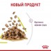 Royal Canin  Sensory консервированный полнорационный корм для взрослых кошек (от 1 года до 7 лет), стимулирующий обонятельные рецепторы, кусочки в соусе